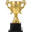 Winner Icon