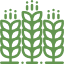 Bachelor-Of-Science-agriculture