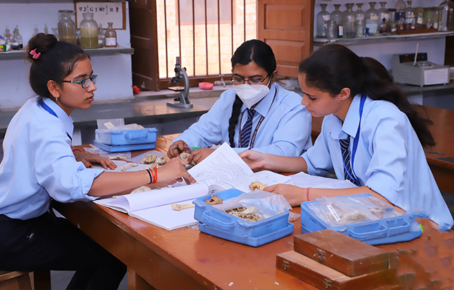 Dayanand College Ajmer | Zoology Lab