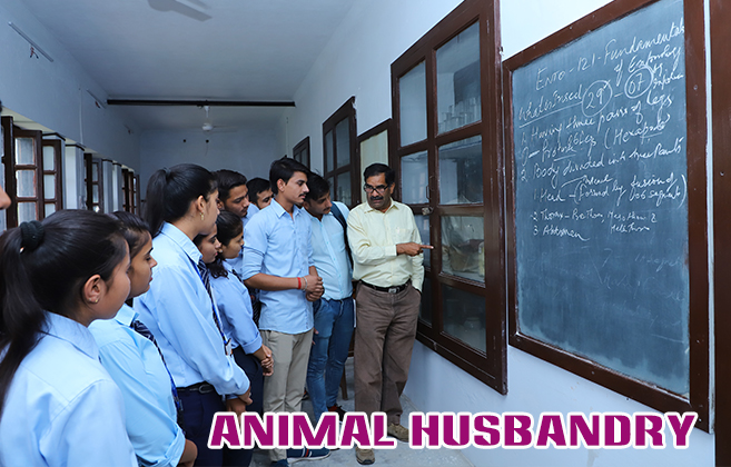 Dayanand College Ajmer | https://davajmer.org/laboratory/animal-husbandry-lab