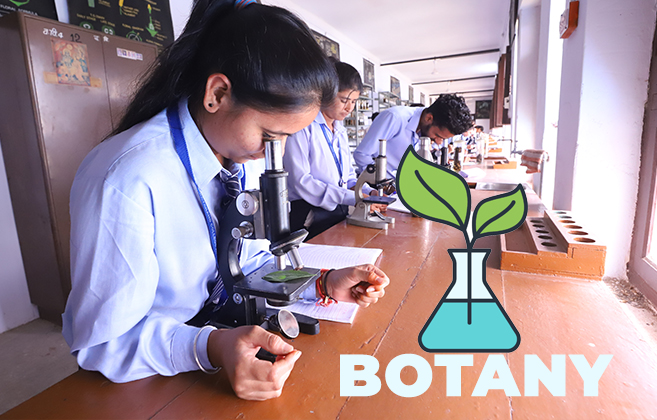 Dayanand College Ajmer | https://davajmer.org/laboratory/botany-lab