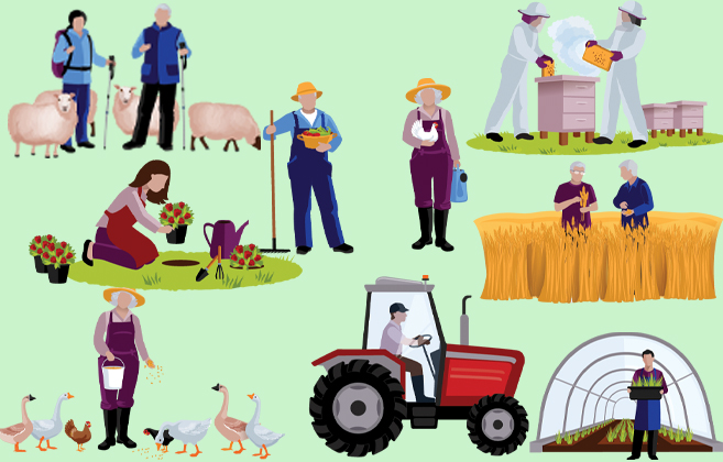 Dayanand College Ajmer | Bachelor of Science Honours Agriculture (BSc. Ag.)