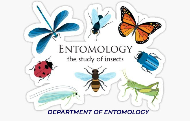 Dayanand College Ajmer | https://davajmer.org/department/department-of-entomology