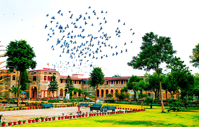 Dayanand College Ajmer | Beautification of environment