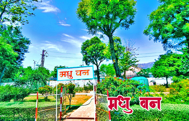 Dayanand College Ajmer | Madhuvan