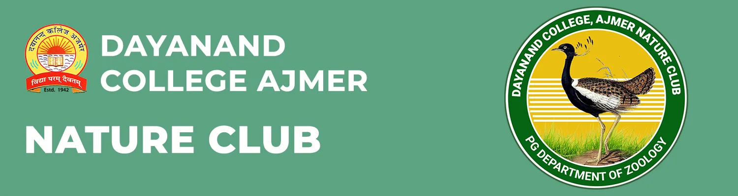 Nature Club